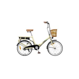 EBIKE 36V 7.5AH 20X1.75P J1 PLUS